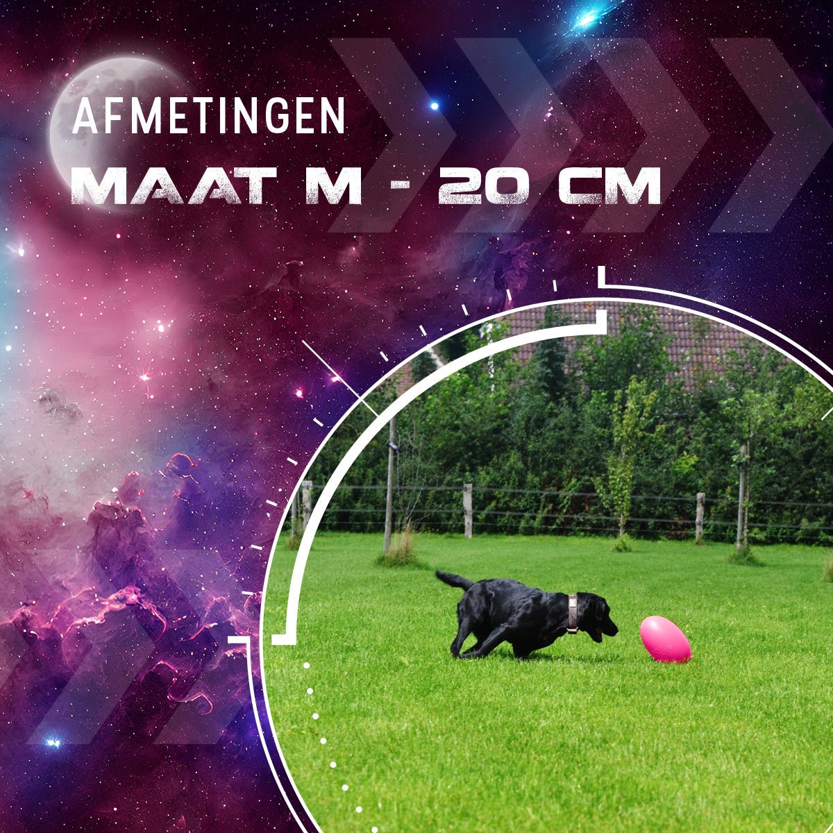 Dog Comets Pan - Stars Roze - all for animals