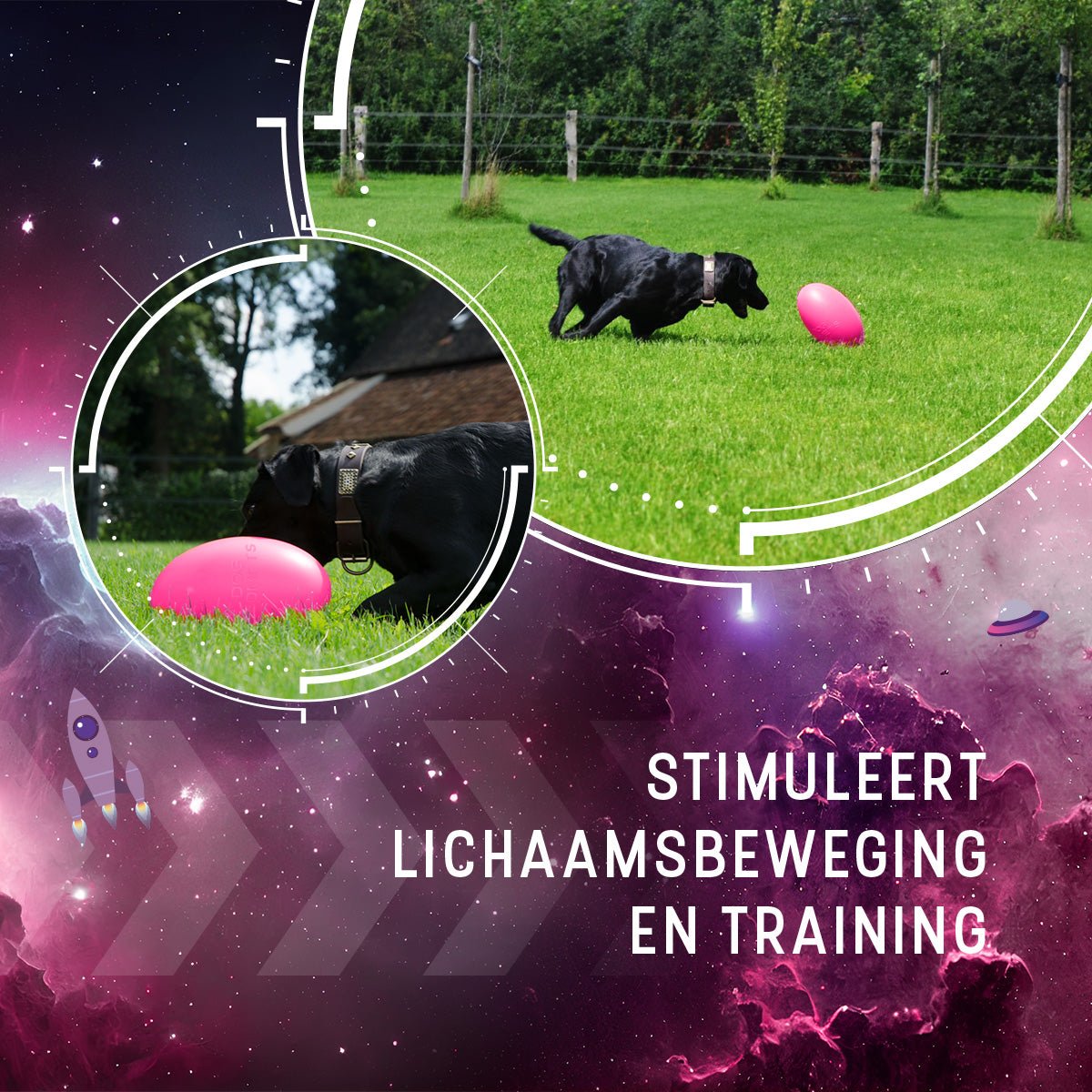 Dog Comets Pan - Stars Roze - all for animals