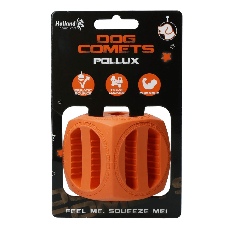 Dog Comets Pollux Oranje - all for animals