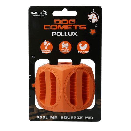 Dog Comets Pollux Oranje - all for animals