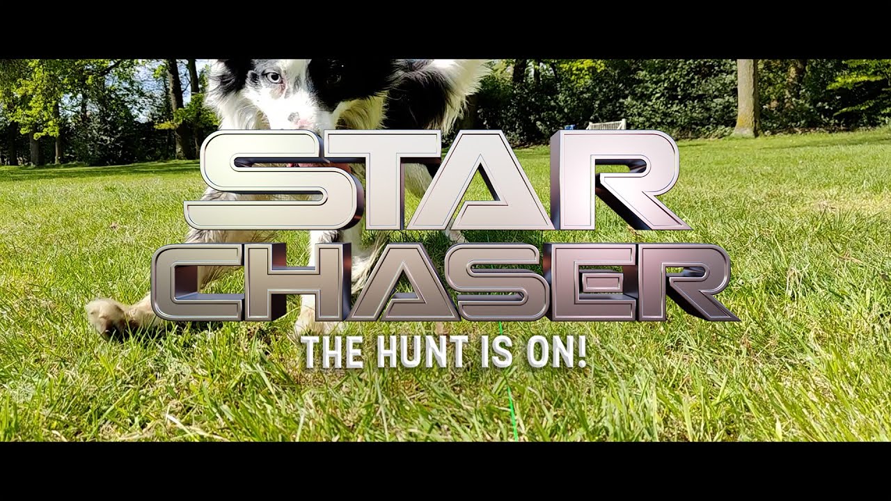 Dog Comets Star Chaser - all for animals