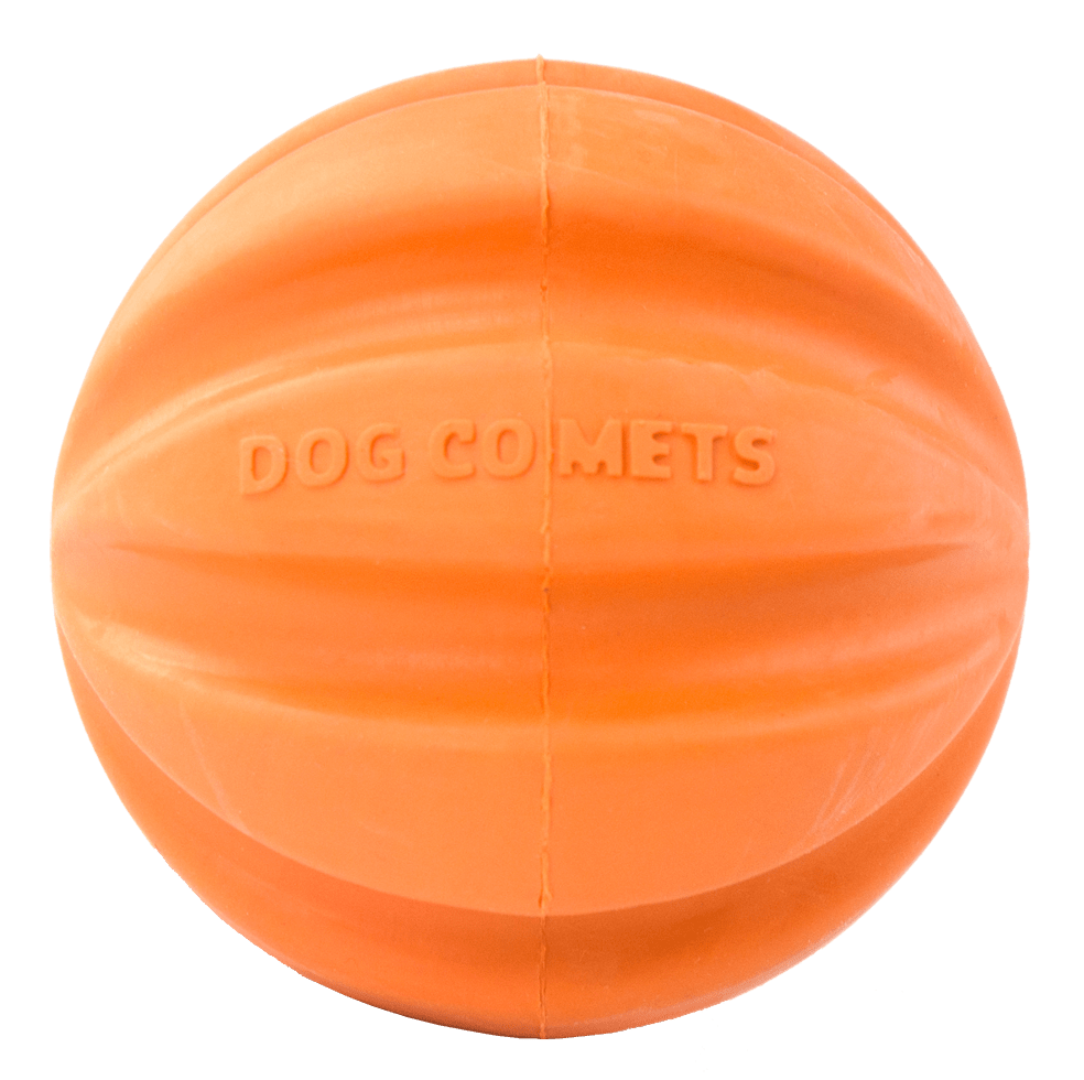 Dog Comets Swift Tuttle Oranje - all for animals