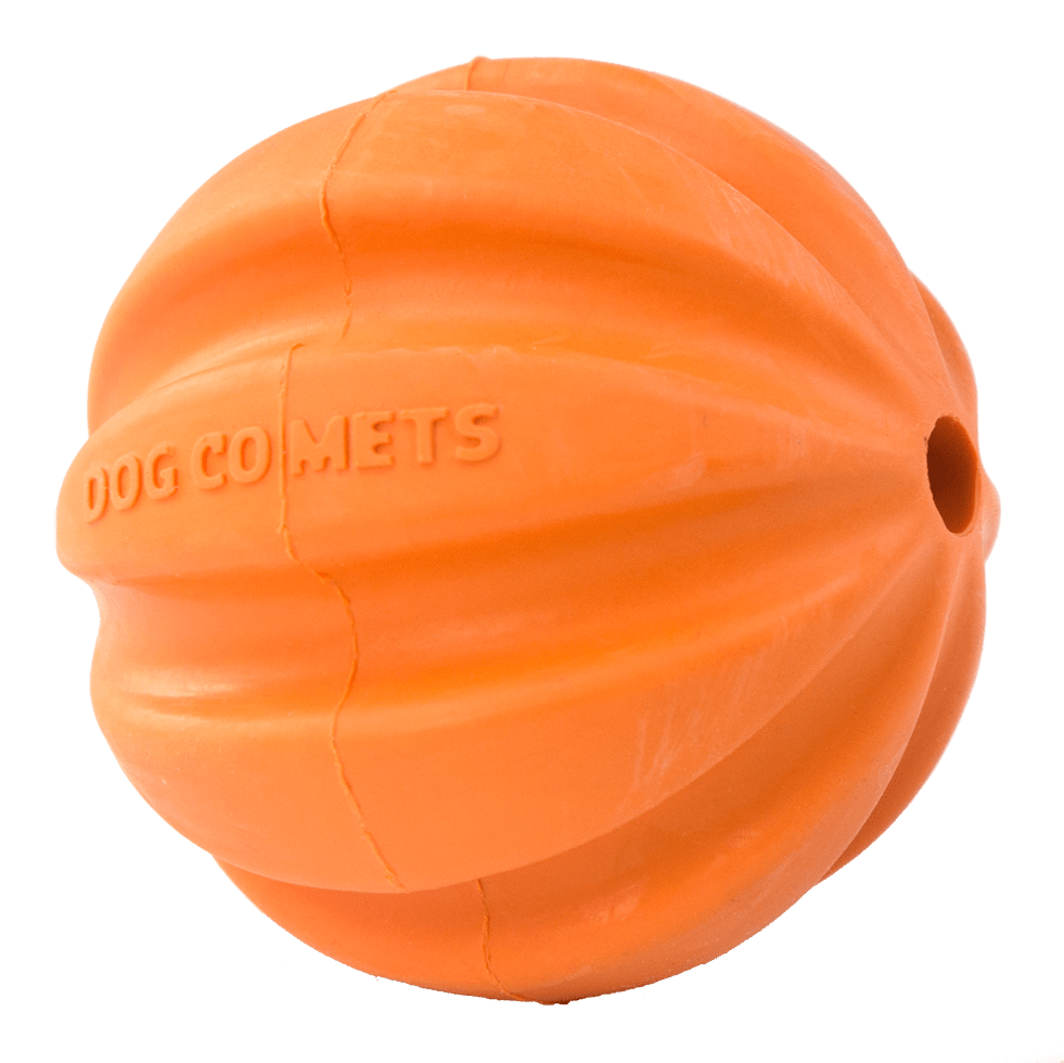 Dog Comets Swift Tuttle Oranje - all for animals