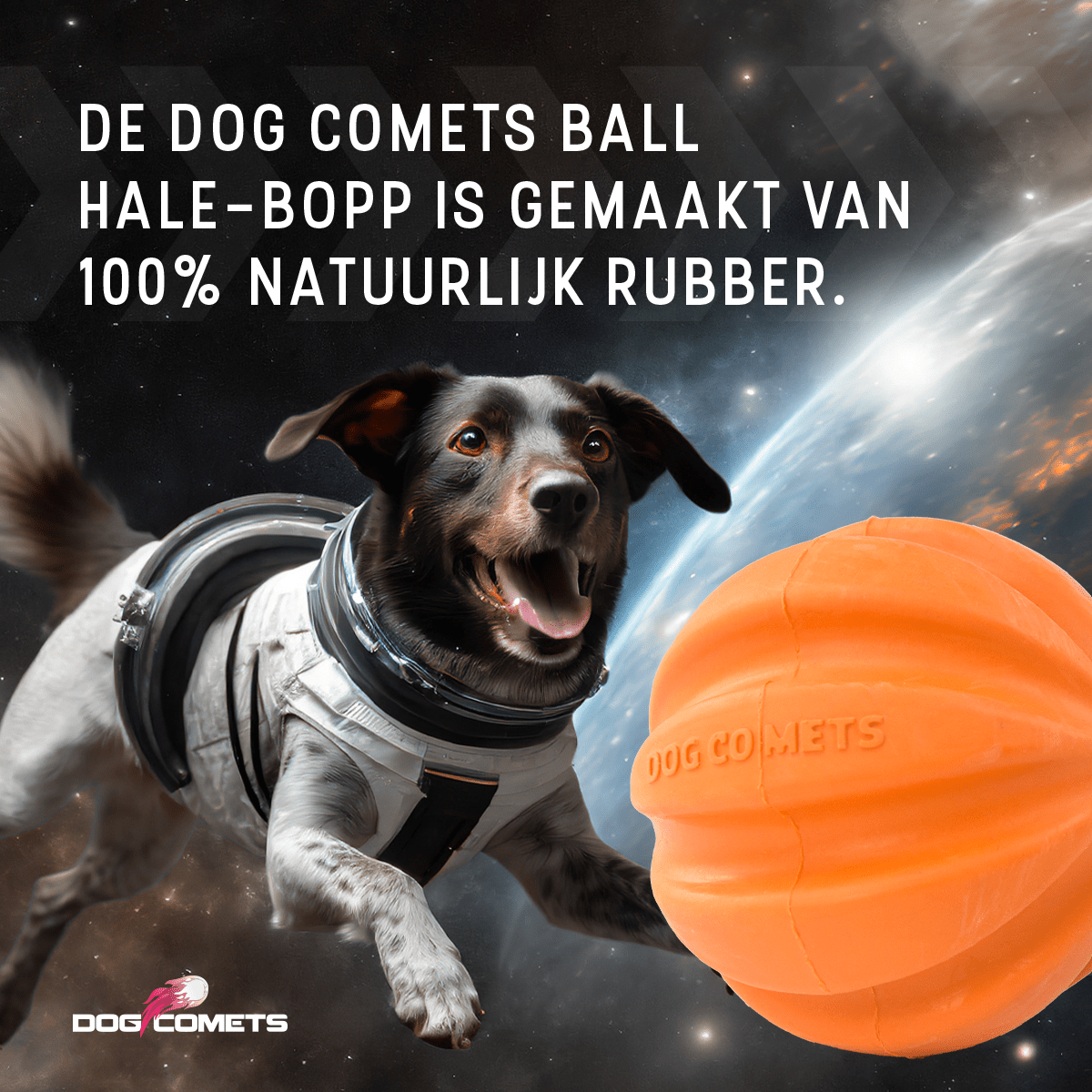 Dog Comets Swift Tuttle Oranje - all for animals
