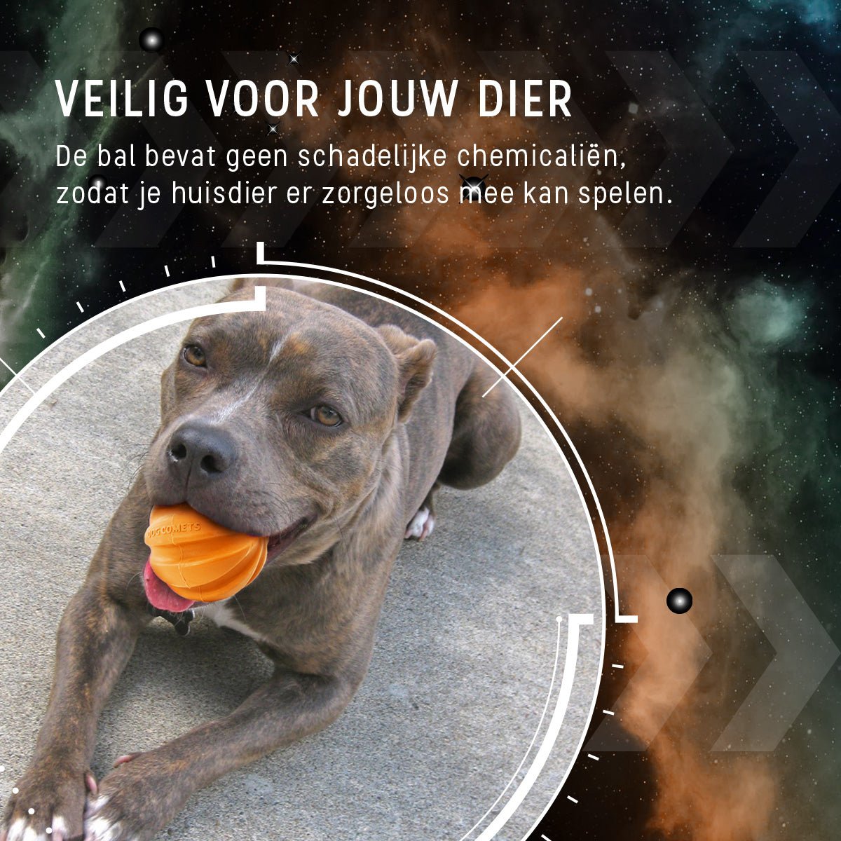 Dog Comets Swift Tuttle Oranje - all for animals