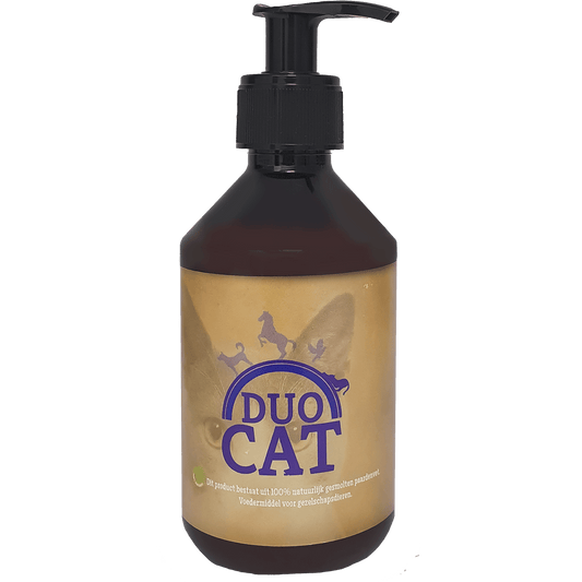 Duo Cat - all for animals