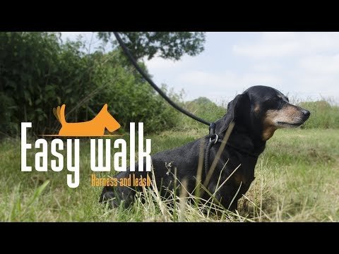 Easy Walk Schoudermodel Rood - Regular - all for animals