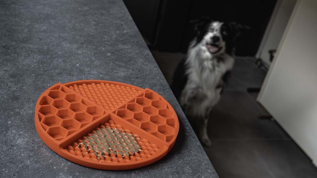 Eat Slow Live Longer Lick Mat Dimensions Circle - all for animals