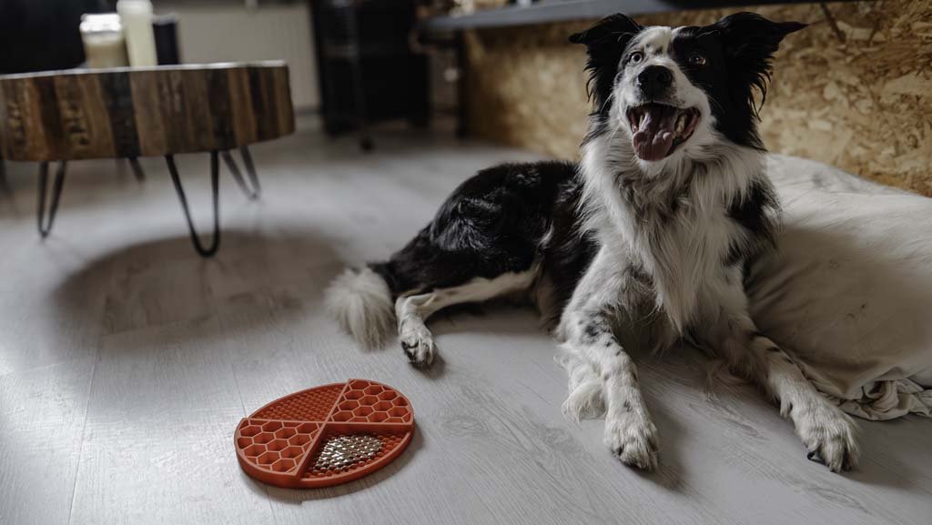 Eat Slow Live Longer Lick Mat Dimensions Circle - all for animals