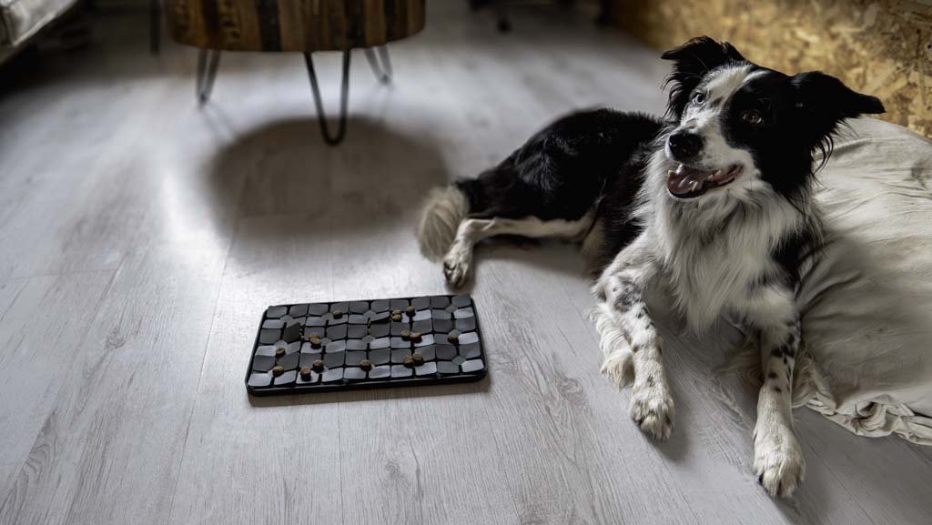 Eat Slow Live Longer Lick Mat Dimensions Flower - all for animals