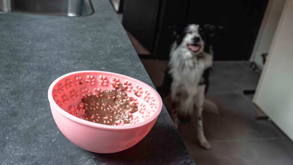Eat Slow Live Longer Lick Mat Wobble Bowl - all for animals
