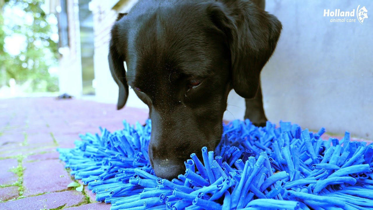 Eat Slow Live Longer Play Mat Grijs - all for animals