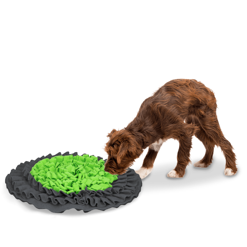 Eat Slow Live Longer Snuffle Mat - all for animals