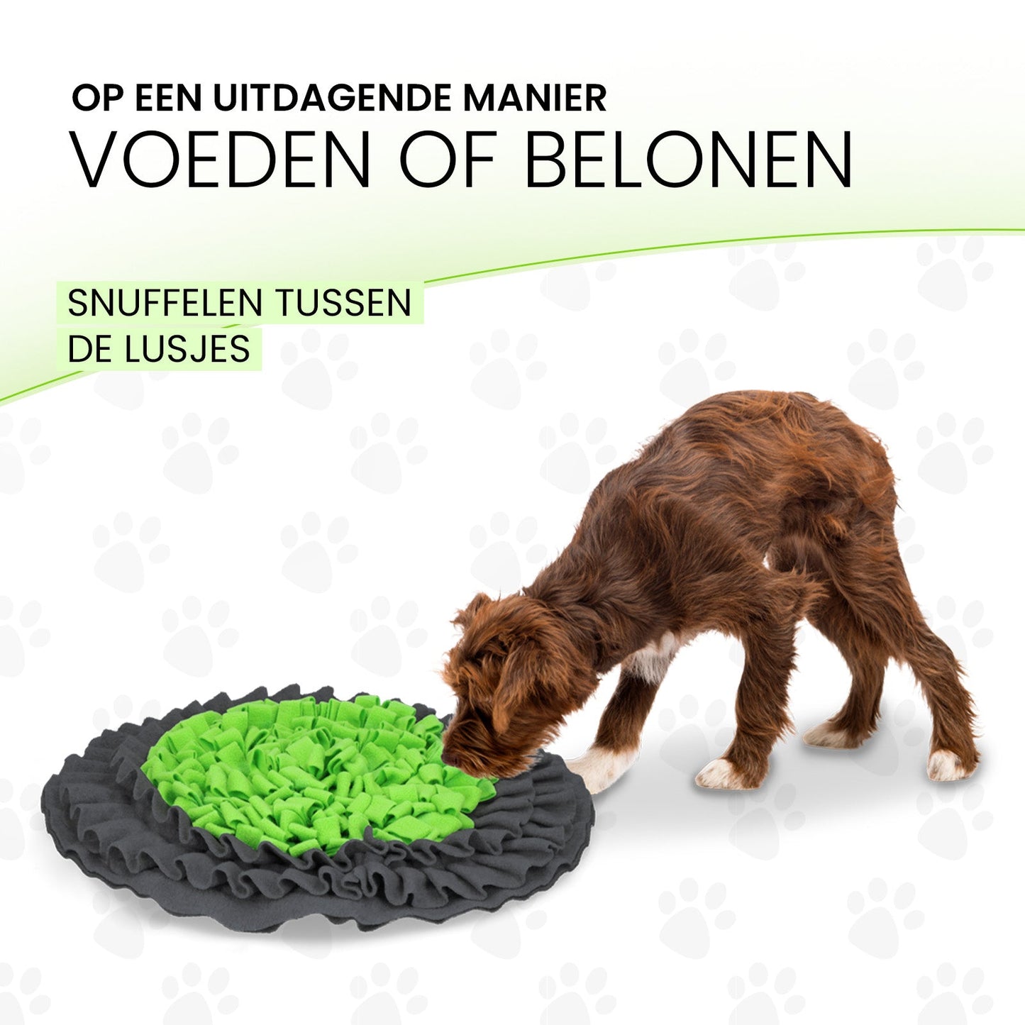 Eat Slow Live Longer Snuffle Mat - all for animals