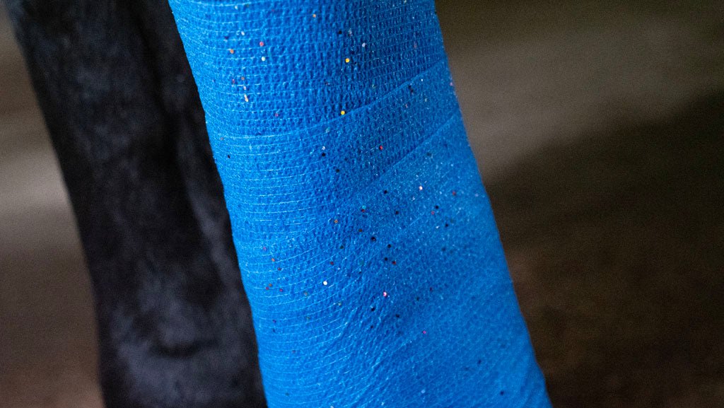 Excellent Animal Glitter Bandage Profi 10 cm - all for animals