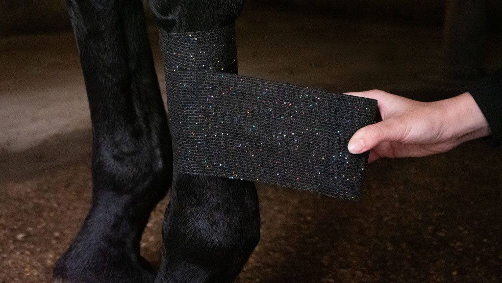 Excellent Animal Glitter Bandage Profi 10 cm - all for animals