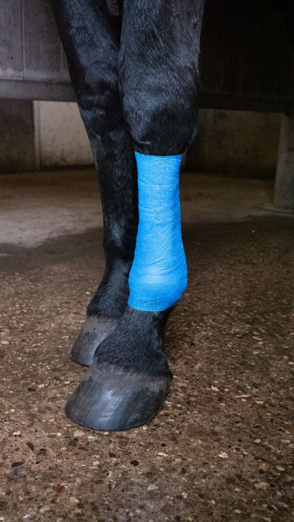 Excellent Animal Glitter Bandage Profi 10 cm - all for animals