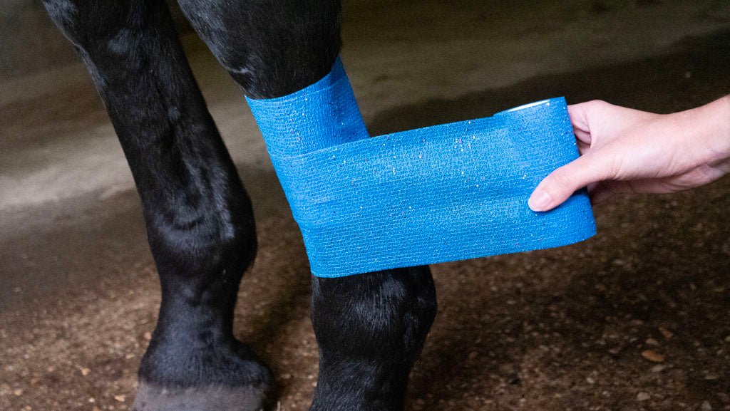 Excellent Animal Glitter Bandage Profi 10 cm - all for animals
