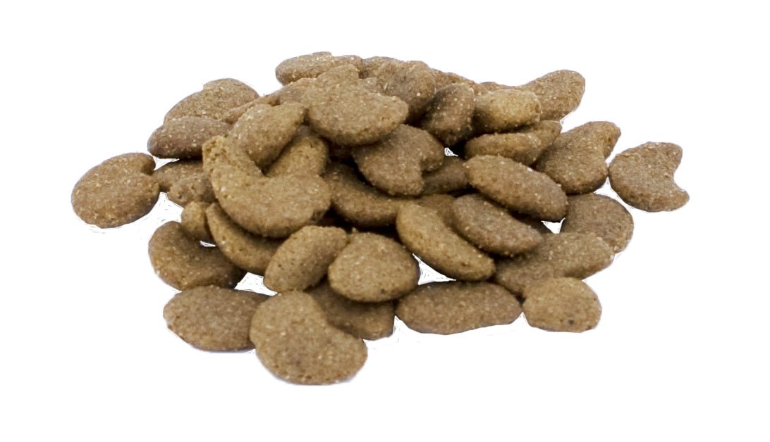 Excellent Pets Cat Parex 60 g - all for animals
