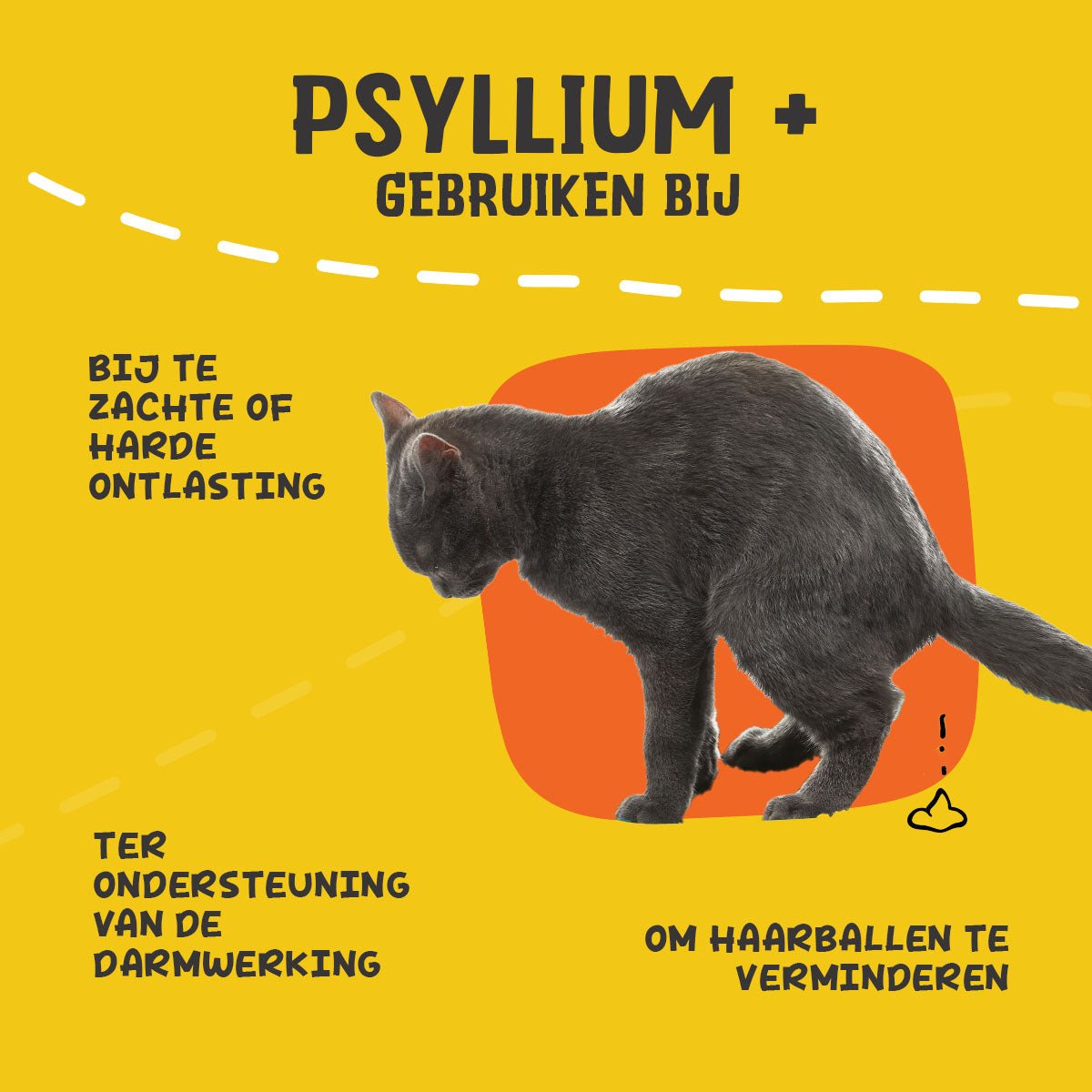 Excellent Pets Cat Psyllium+ 100 g - all for animals