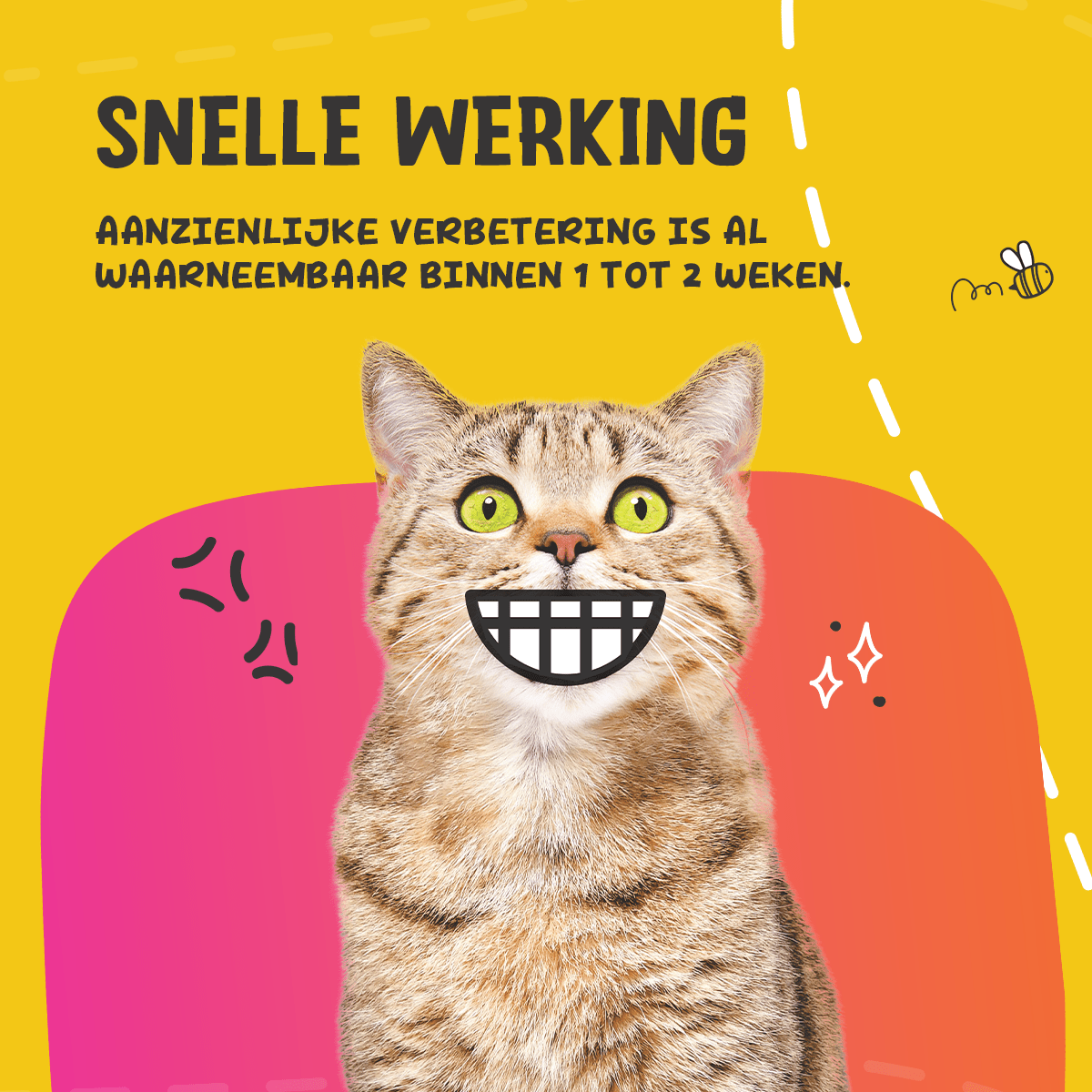 Excellent Pets Dental Oral Care - all for animals