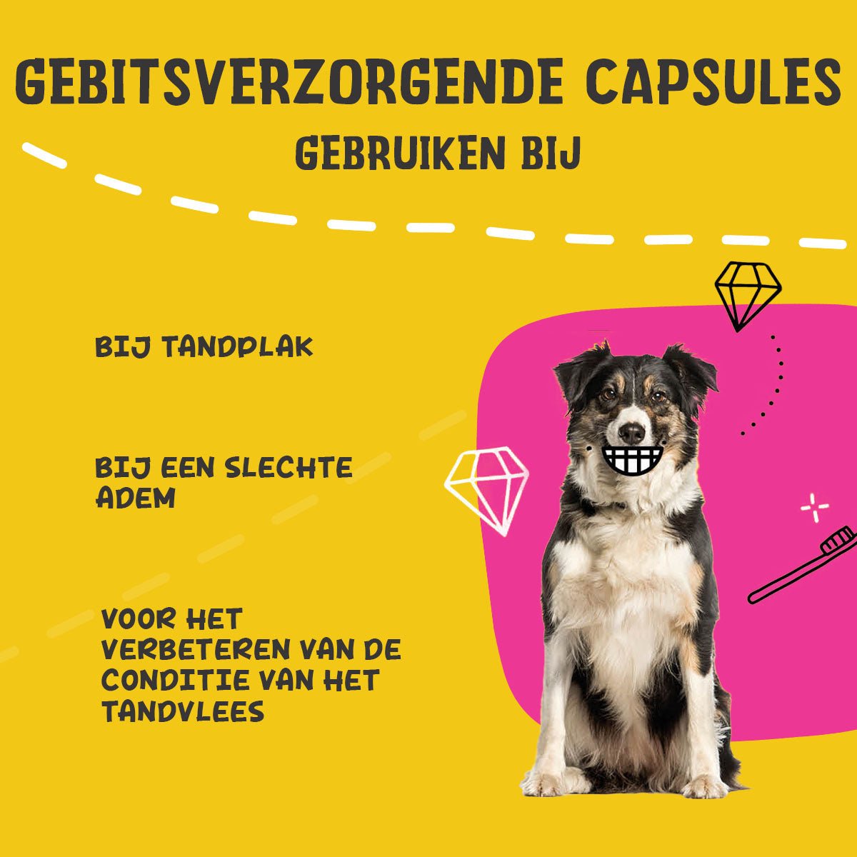 Excellent Pets Dental Oral Care Capsules 90 pcs - all for animals