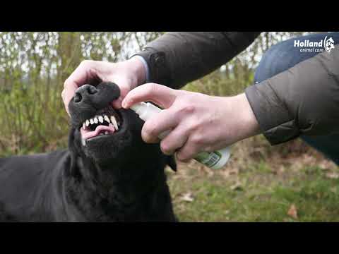 Excellent Pets Dental Oral Spray 150 ml - all for animals