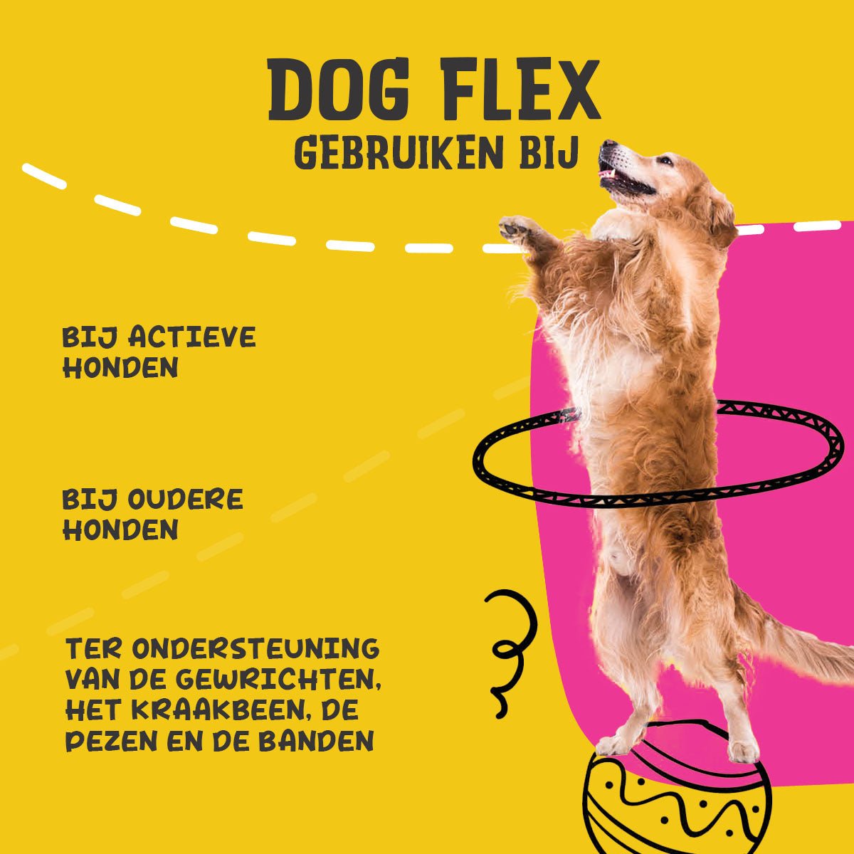 Excellent Pets Dog Flex - all for animals