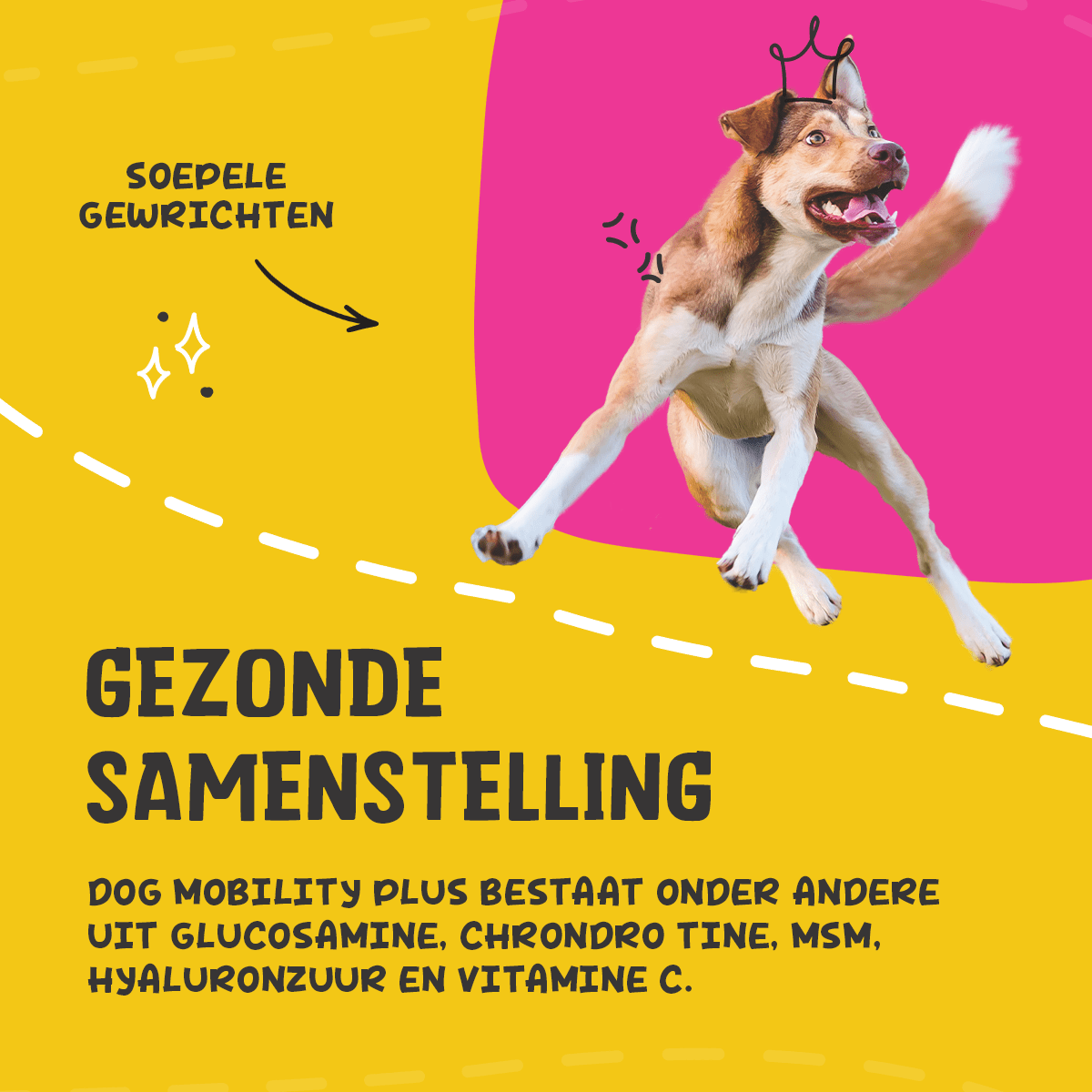 Excellent Pets Dog Mobility+ - all for animals