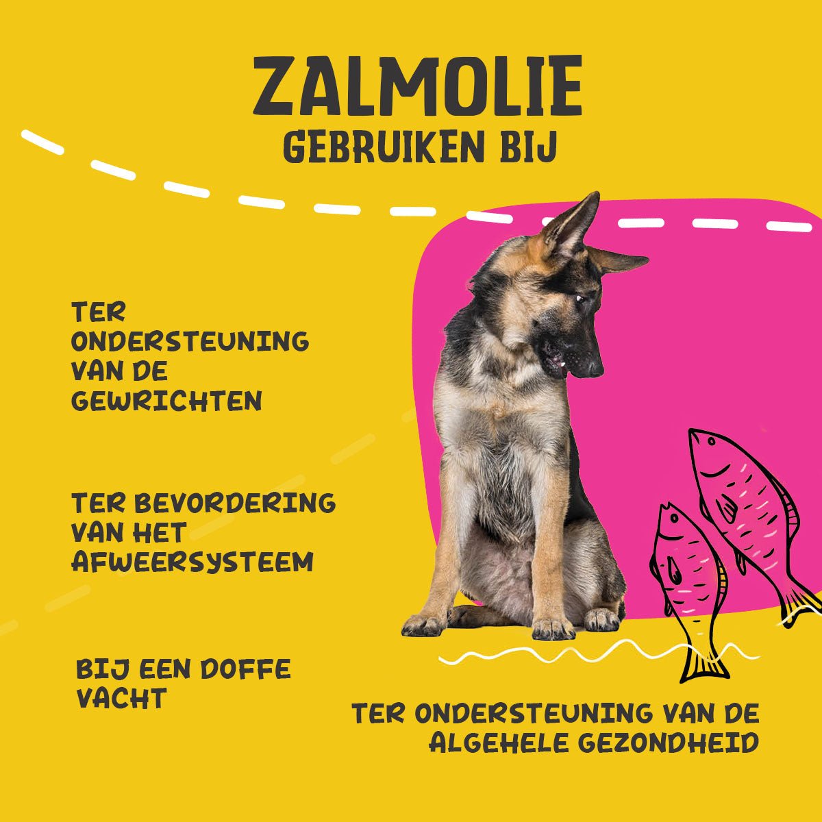 Excellent Pets Dog Salmon Oil - all for animals