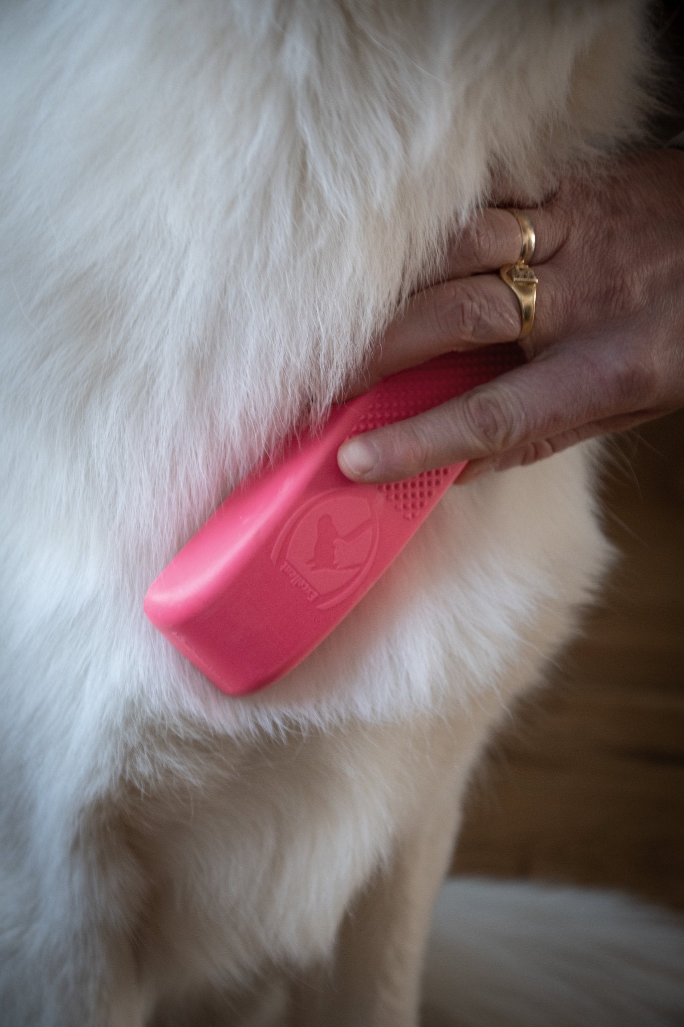 Excellent Pets Grooming Brush Medium - all for animals
