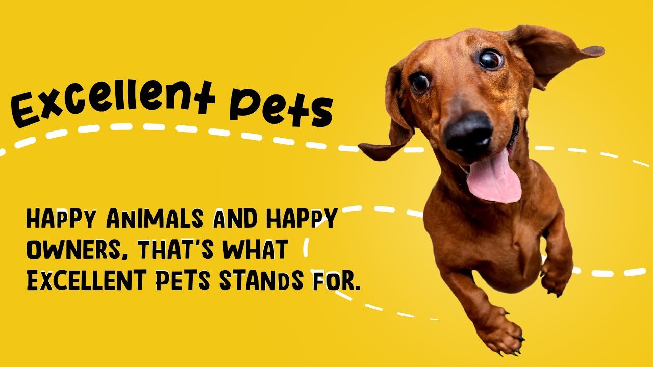 Excellent Pets Skin & Coat Soft Chews 120 Treats - all for animals