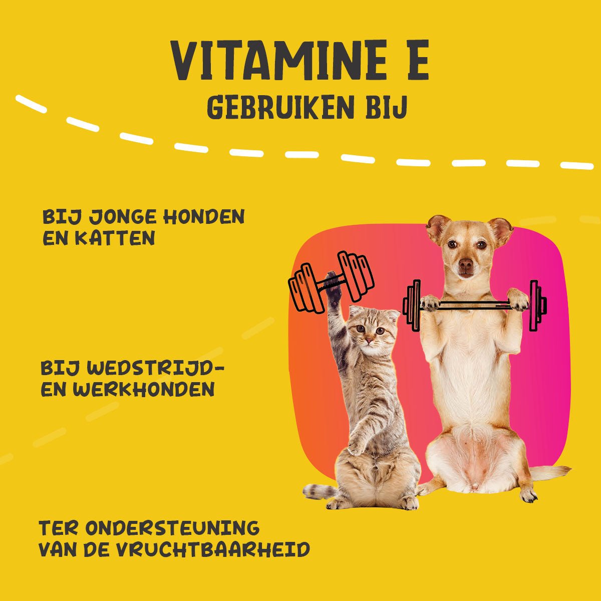 Excellent Pets Vitamin E+ 250 g - all for animals