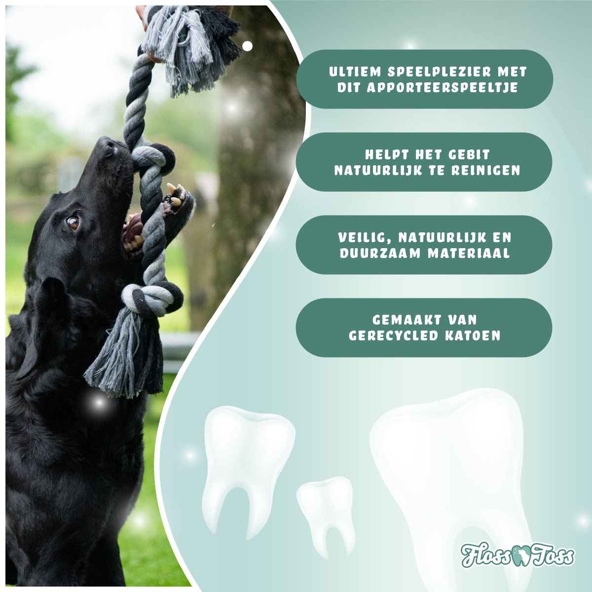 Floss Toss Dental Rope 2 Knot - all for animals