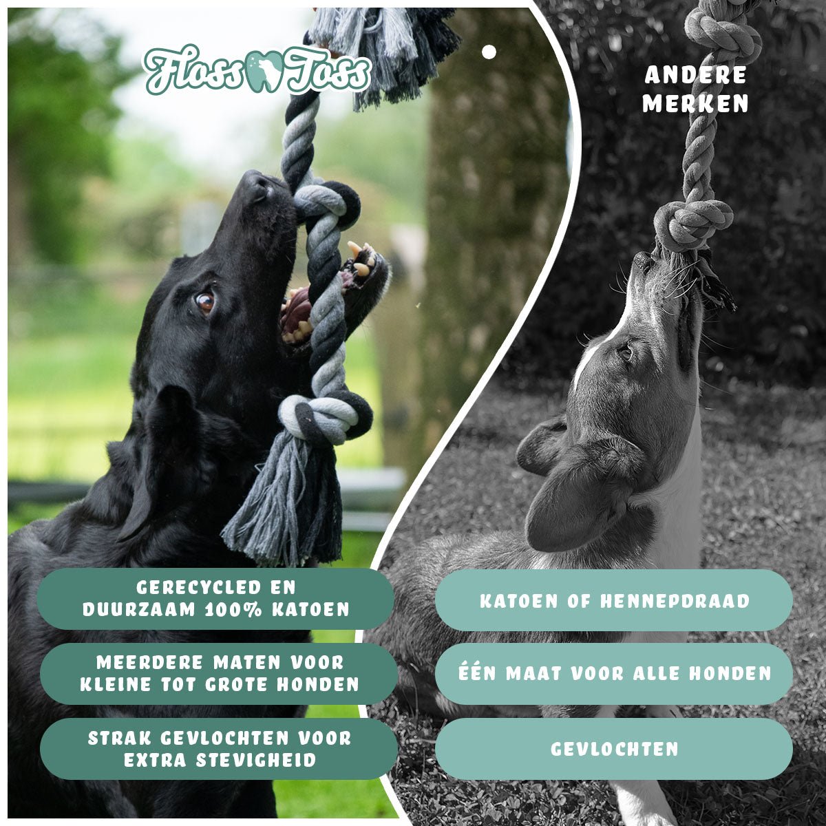 Floss Toss Dental Rope 2 Knot - all for animals
