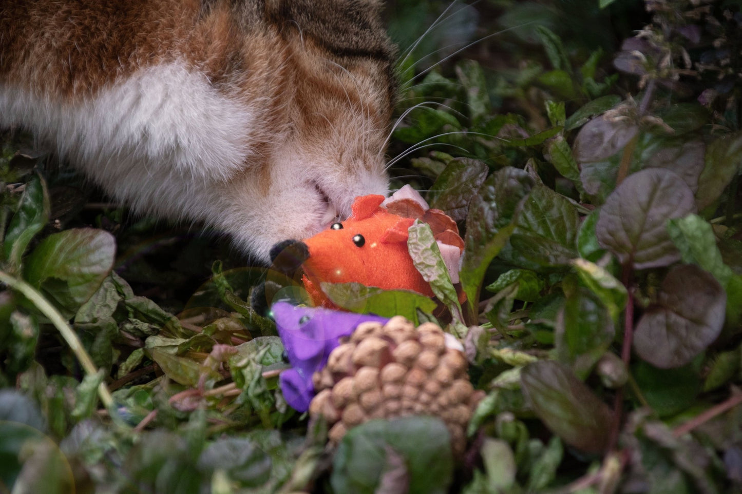 Forest Friends Mouse - all for animals