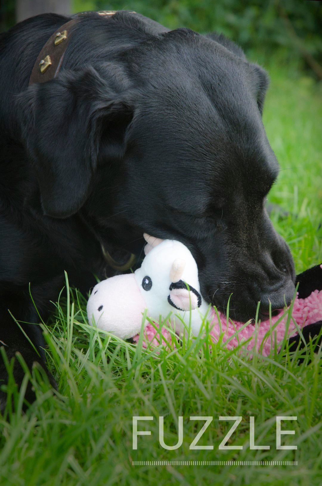 Fuzzle met 5 piepers Koe - all for animals