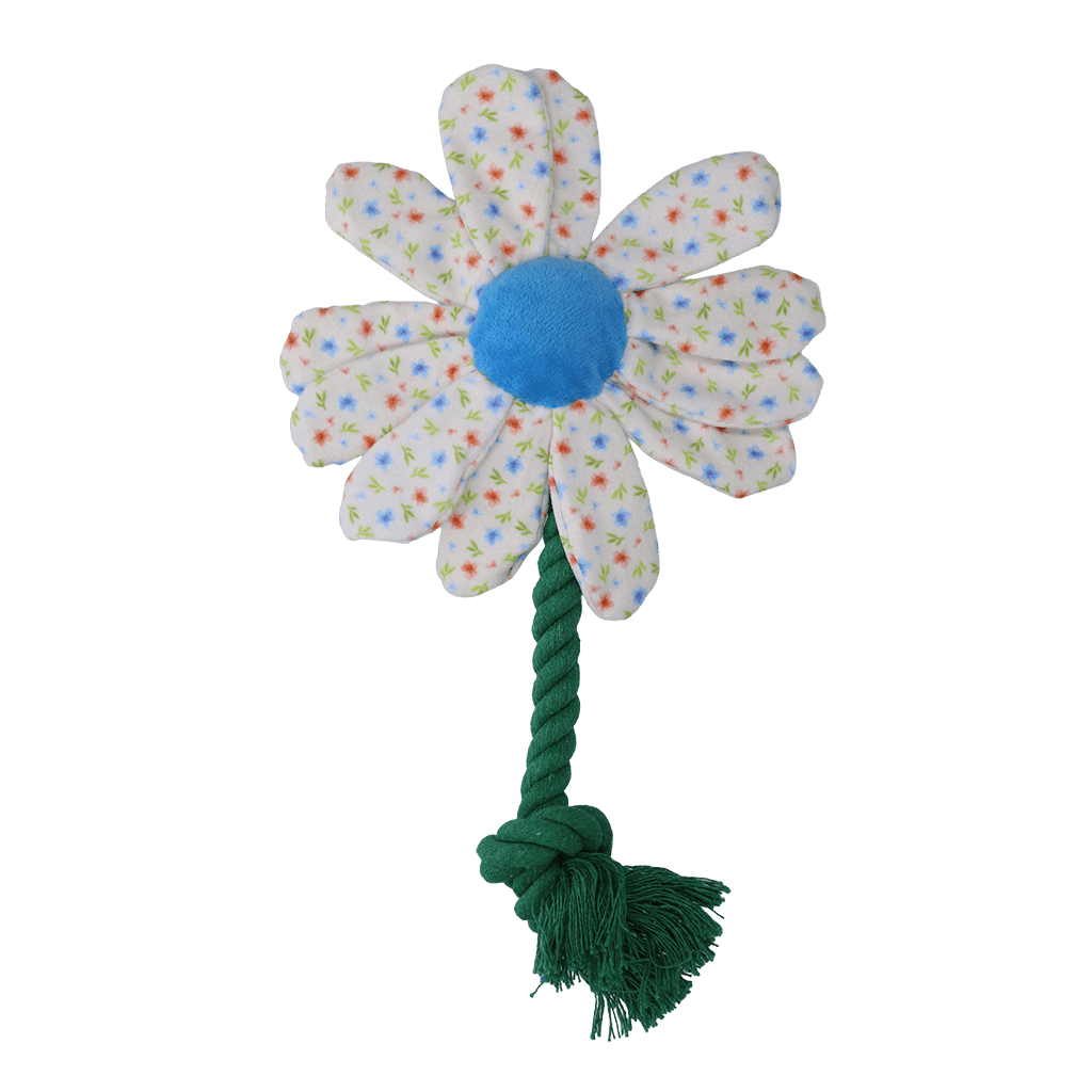 Garden Paws Flower Sky Flowers - all for animals