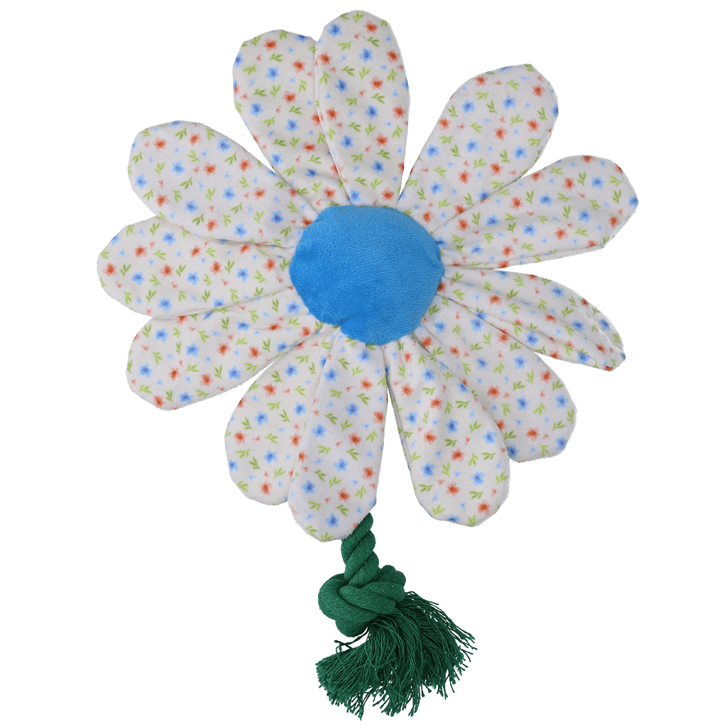 Garden Paws Flower Sky Flowers - all for animals