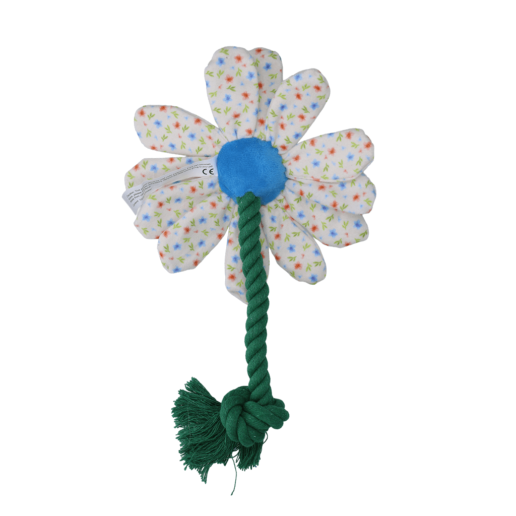 Garden Paws Flower Sky Flowers - all for animals