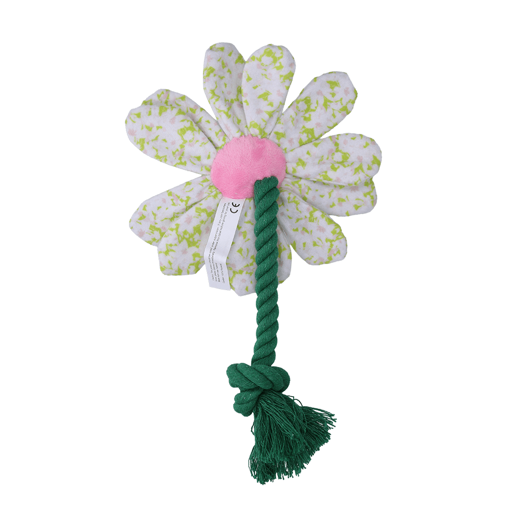 Garden Paws Flower Spring Sakura - all for animals