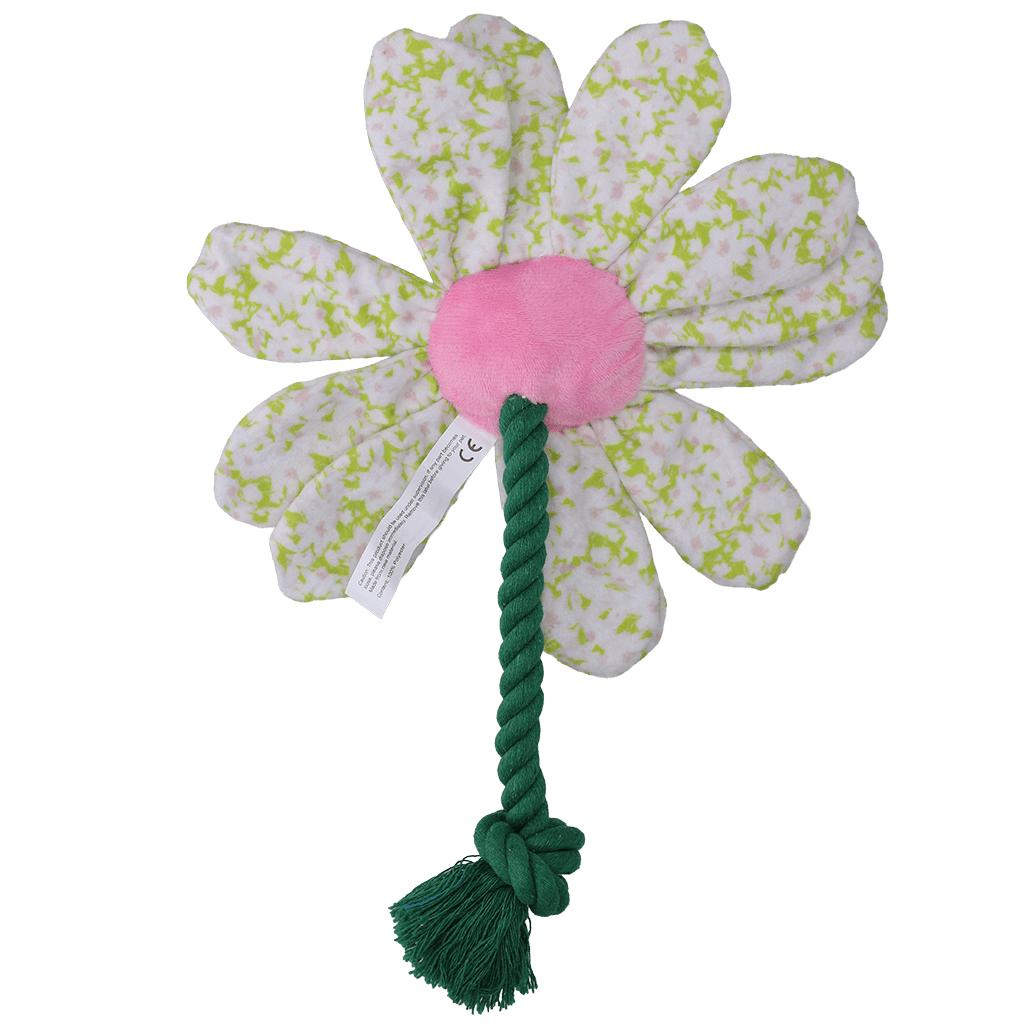 Garden Paws Flower Spring Sakura - all for animals