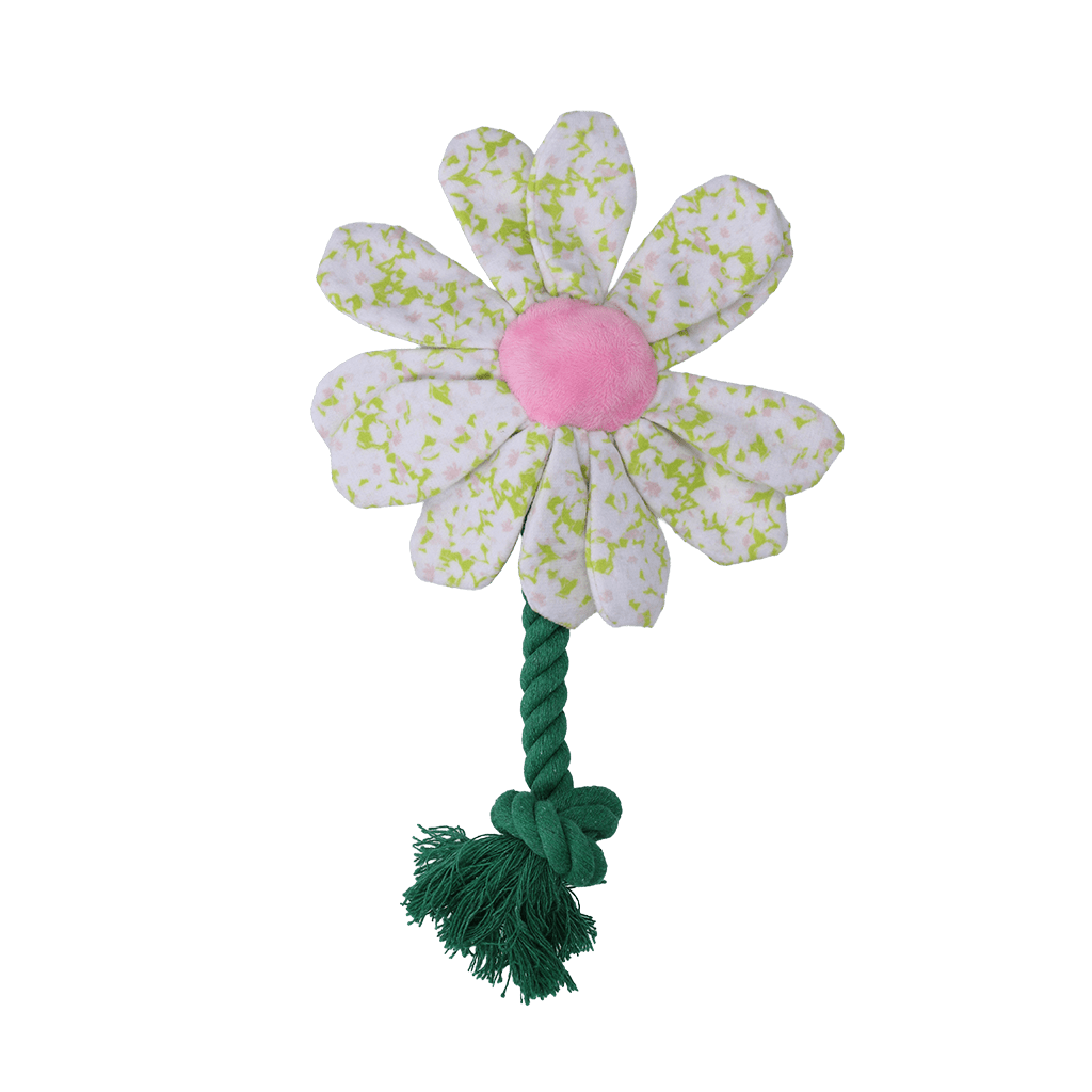 Garden Paws Flower Spring Sakura - all for animals