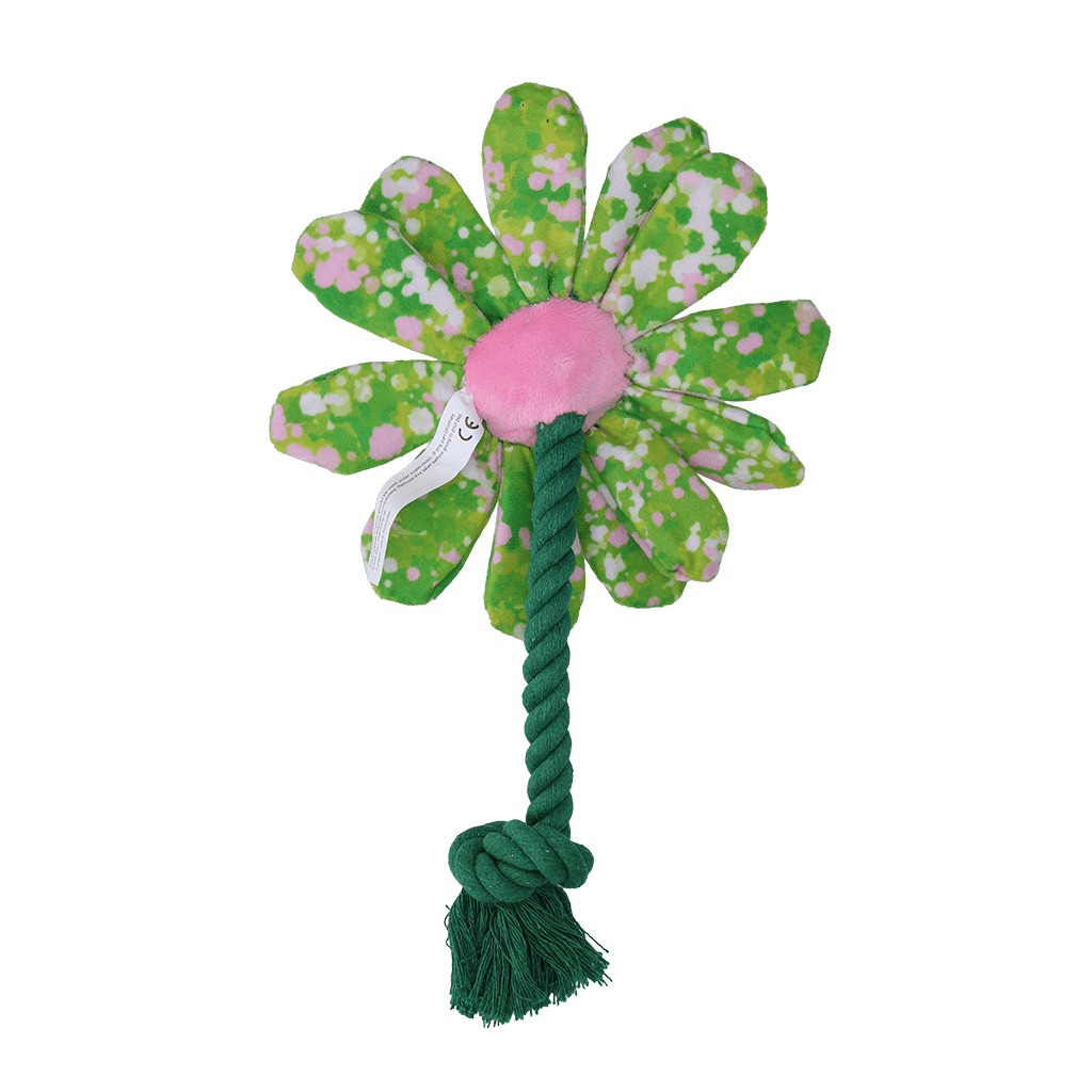 Garden Paws Flower Summer Shrubs - all for animals