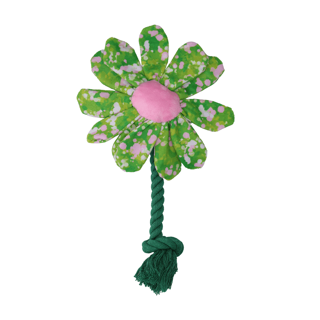 Garden Paws Flower Summer Shrubs - all for animals