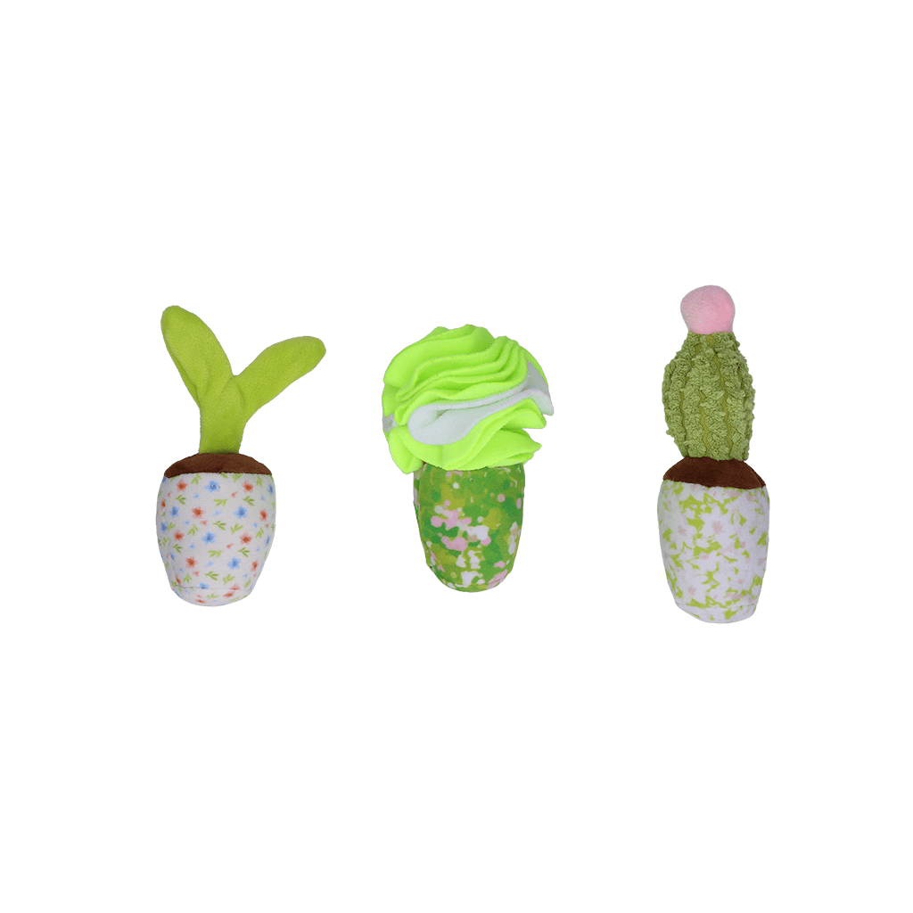 Garden Paws Snuffle Box Sprout, Crop & Cactus - all for animals
