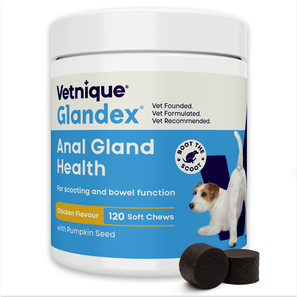 Glandex Soft Chews Kip 120 treats (480 g) - all for animals