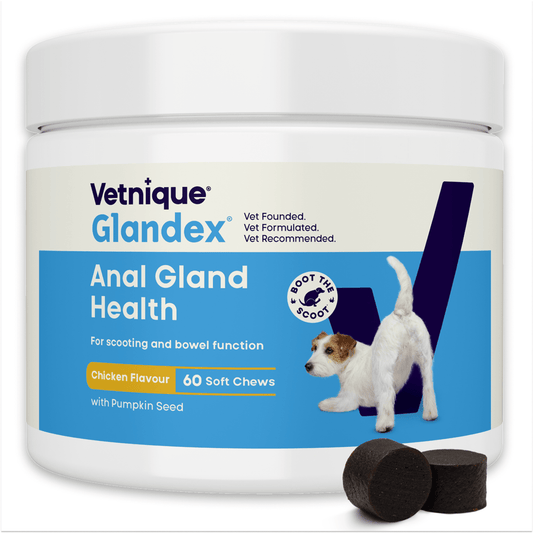 Glandex Soft Chews Kip 60 treats (240 g) - All For Animals