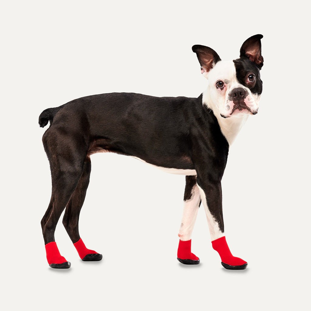 Goo - eez Dog Boots Lites 4 Per Pack L Rood/Zwart - all for animals