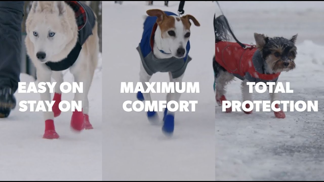 Goo - eez Dog Boots Lites 4 Per Pack S Rood/Zwart - all for animals